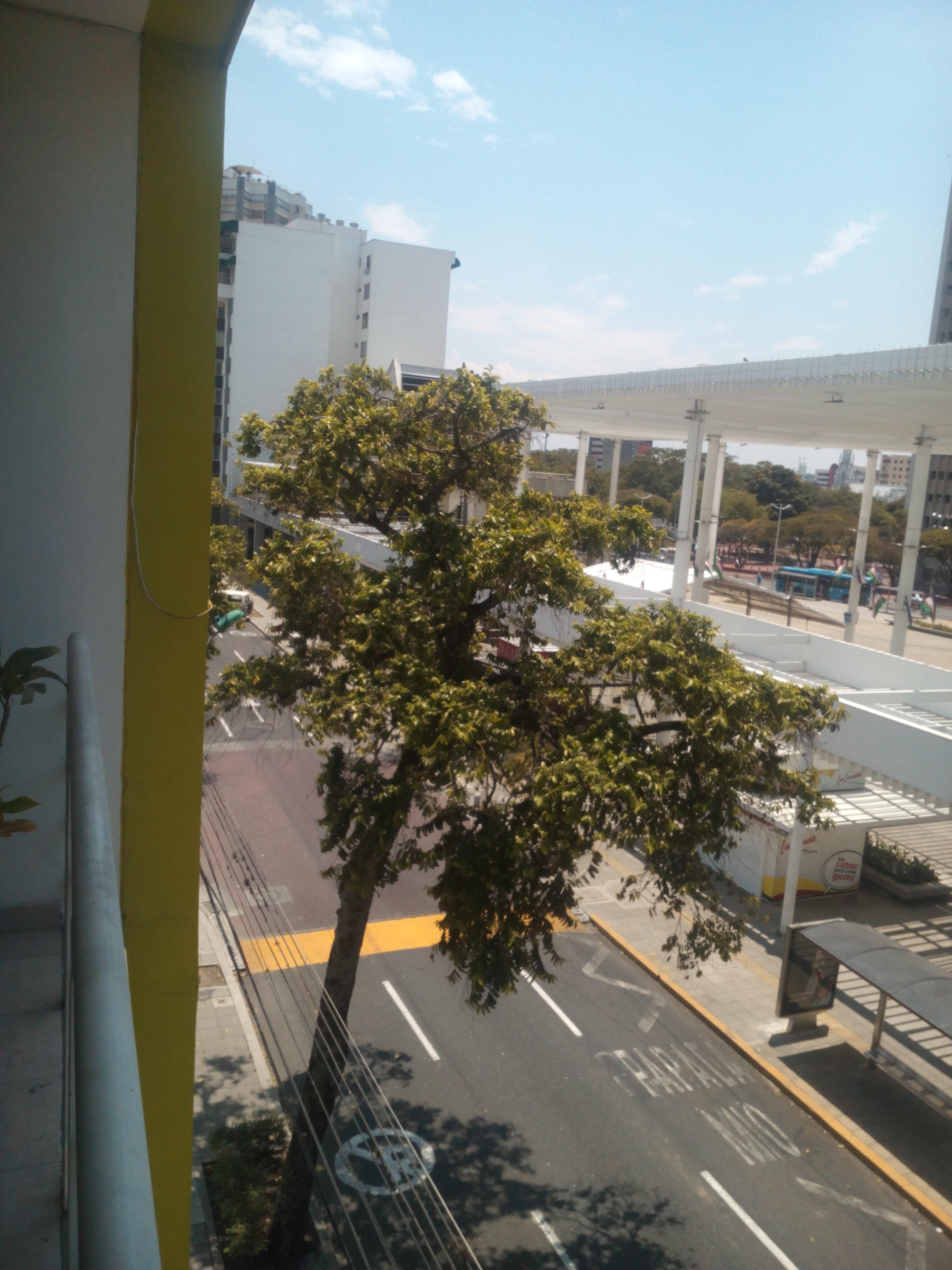 Hotel Cuarta Avenida Cali Exterior foto